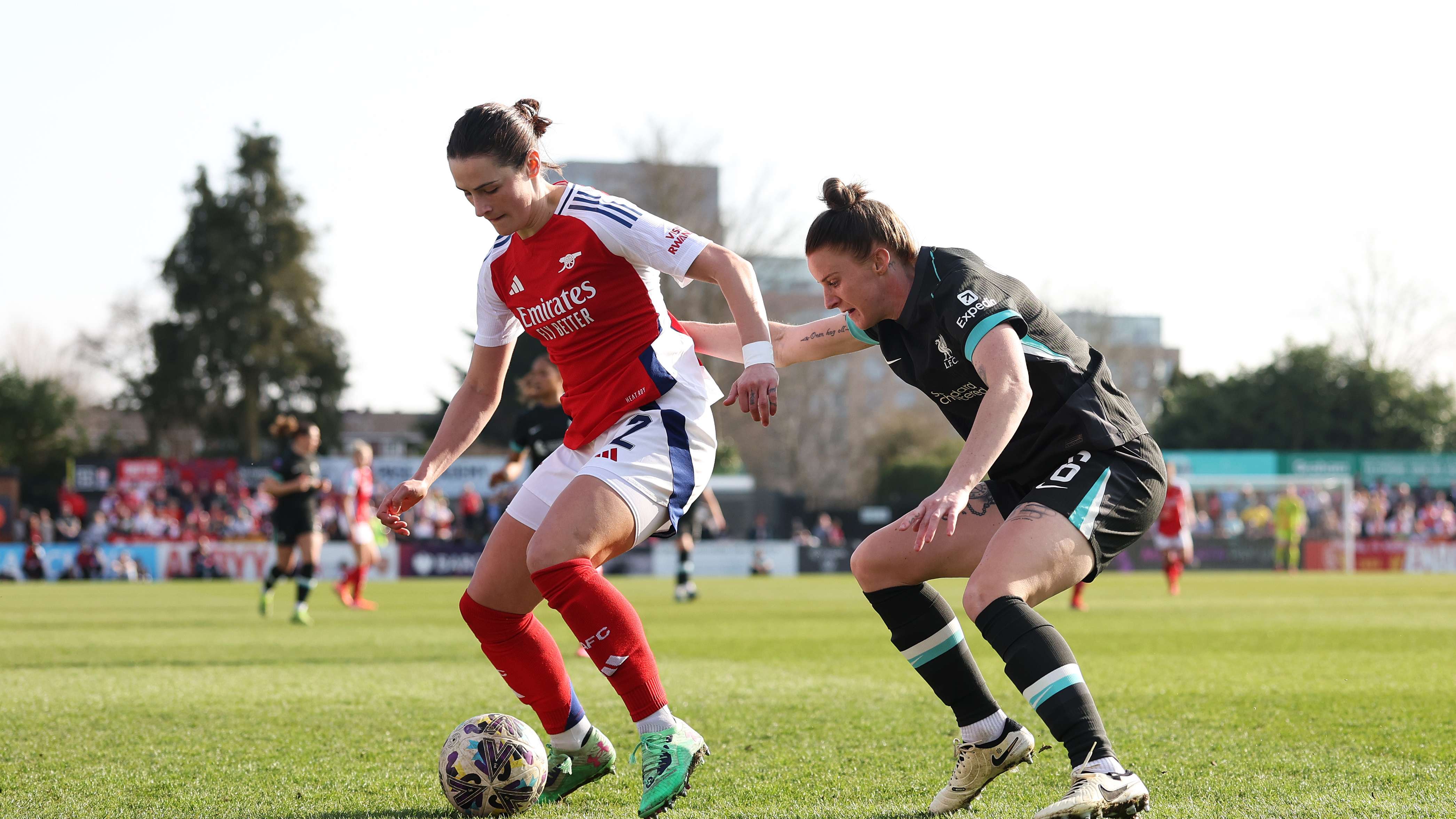 归德甲的背 归德甲的背